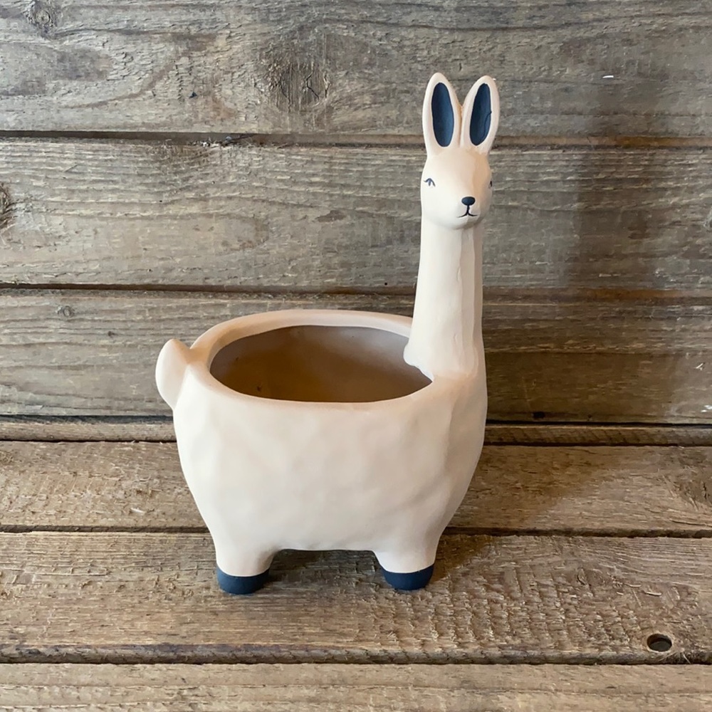 🌵Planter🌵 - Picture 2 of 3